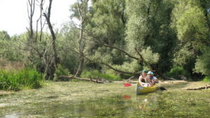 A Szigetköz felfedezgetése