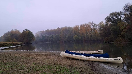 Image4.jpg